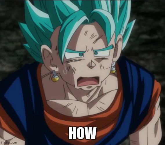 HOW | image tagged in confused vegito | made w/ Imgflip meme maker