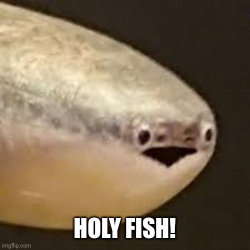 Holy fish | HOLY FISH! | image tagged in sacabambaspis | made w/ Imgflip meme maker