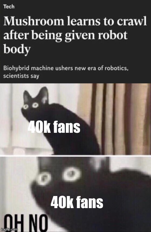 Crap | 40k fans; 40k fans | image tagged in oh no cat | made w/ Imgflip meme maker