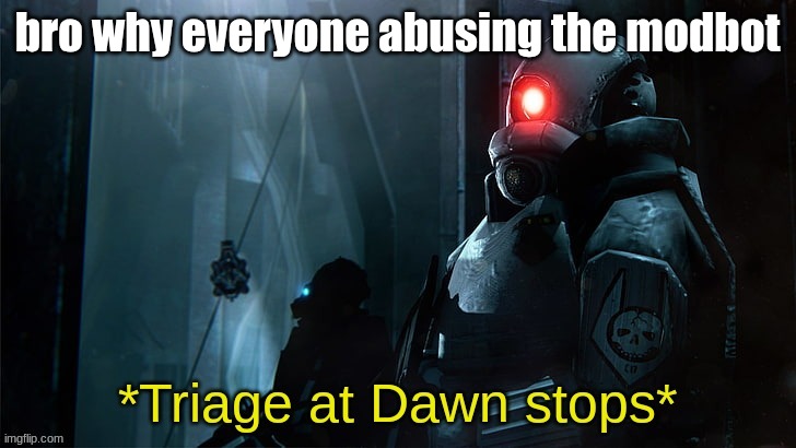 Triage at Dawn stops | bro why everyone abusing the modbot | image tagged in triage at dawn stops | made w/ Imgflip meme maker
