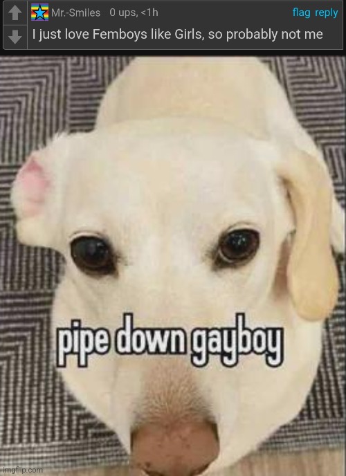 made w/ Imgflip meme maker