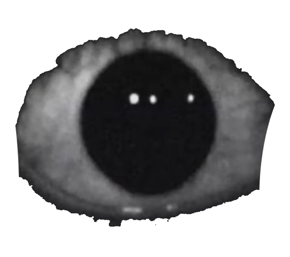 Bob's eye Blank Meme Template