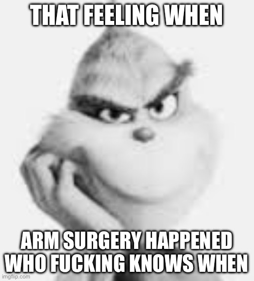 white grinch | THAT FEELING WHEN ARM SURGERY HAPPENED WHO FUCKING KNOWS WHEN | image tagged in white grinch | made w/ Imgflip meme maker