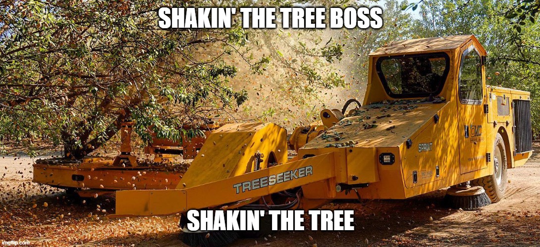 SHAKIN' THE TREE BOSS SHAKIN' THE TREE | made w/ Imgflip meme maker