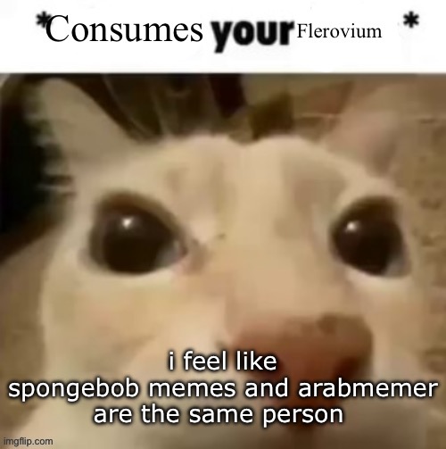 Yakko consumes your flerovium | i feel like spongebob memes and arabmemer are the same person | image tagged in yakko consumes your flerovium | made w/ Imgflip meme maker