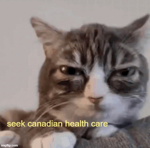 seek canadian health care | made w/ Imgflip meme maker