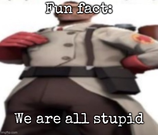 Including me | Fun fact:; We are all stupid | image tagged in ze medic,msmg | made w/ Imgflip meme maker