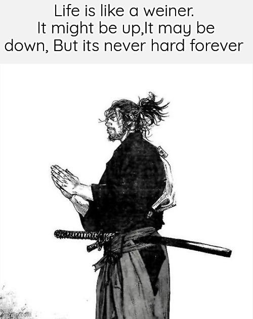 Vagabond Musashi | Life is like a weiner.  It might be up,It may be down, But its never hard forever | image tagged in vagabond musashi | made w/ Imgflip meme maker