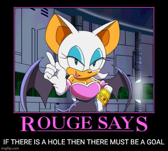 IF THERE IS A HOLE THEN THERE MUST BE A GOAL | image tagged in rouge says ___ | made w/ Imgflip meme maker