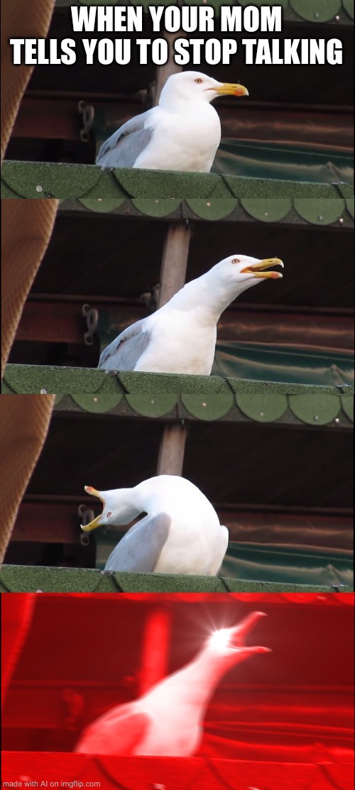 Inhaling Seagull | WHEN YOUR MOM TELLS YOU TO STOP TALKING | image tagged in memes,inhaling seagull | made w/ Imgflip meme maker