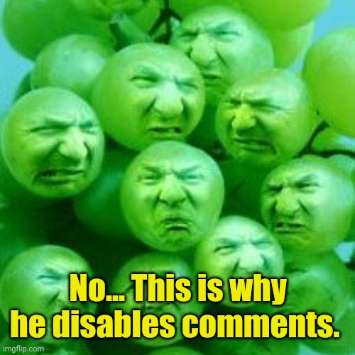 No... This is why he disables comments. | made w/ Imgflip meme maker