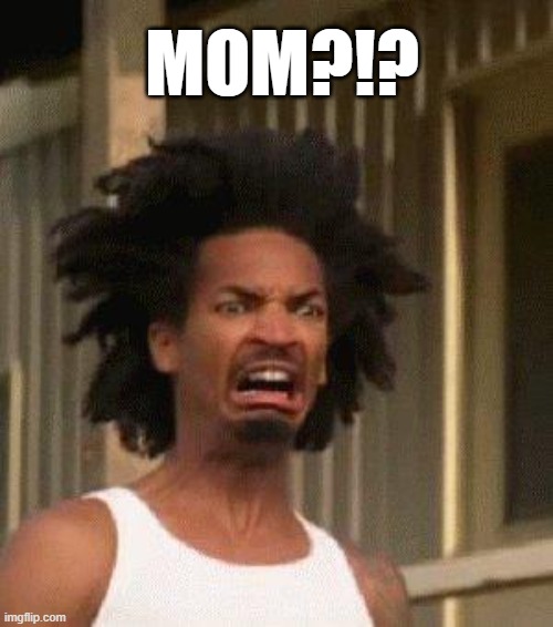 Disgusted Face | MOM?!? | image tagged in disgusted face | made w/ Imgflip meme maker