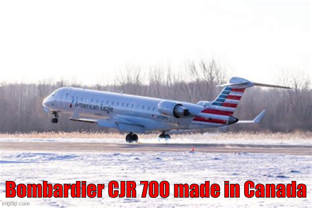 Why did Trump taget this plane | Bombardier CJR 700 made in Canada | image tagged in why did trump taget this plane,trump hates canada,eggs are cheaper | made w/ Imgflip meme maker