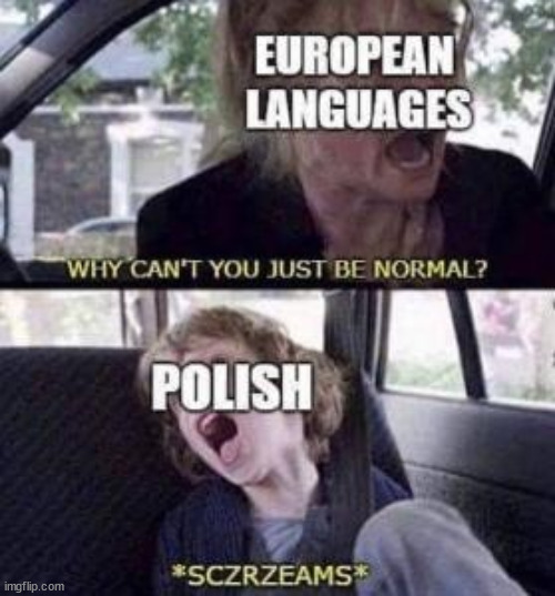 Polish Language Ribbing | image tagged in polish languge fun,polish,language,poleland,humor | made w/ Imgflip meme maker