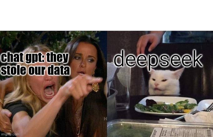 sore losers | deepseek; chat gpt: they stole our data | image tagged in memes,woman yelling at cat,chat gpt,open ai,deepseek,ai | made w/ Imgflip meme maker