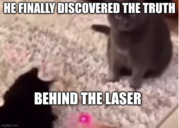 he finally found it | HE FINALLY DISCOVERED THE TRUTH; BEHIND THE LASER | image tagged in he found it,cats | made w/ Imgflip meme maker