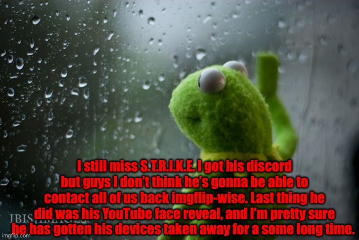 kermit window | I still miss S.T.R.I.K.E. I got his discord but guys I don’t think he’s gonna be able to contact all of us back imgflip-wise. Last thing he did was his YouTube face reveal, and I’m pretty sure he has gotten his devices taken away for a some long time. | image tagged in kermit window | made w/ Imgflip meme maker