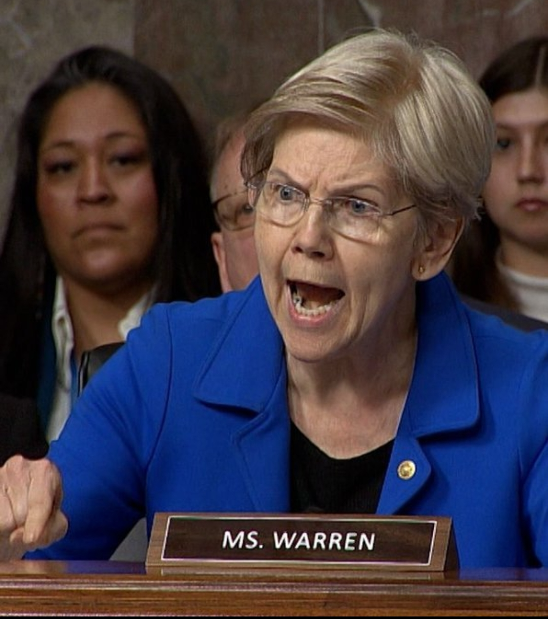 Elizabeth Warren Blank Meme Template