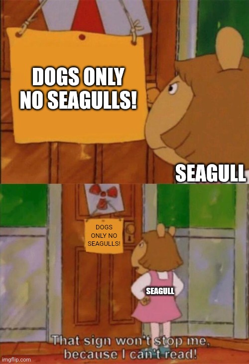 DW Sign Won't Stop Me Because I Can't Read | DOGS ONLY NO SEAGULLS! SEAGULL DOGS ONLY NO SEAGULLS! SEAGULL | image tagged in dw sign won't stop me because i can't read | made w/ Imgflip meme maker