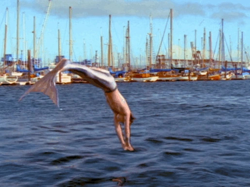 cody diving Blank Meme Template