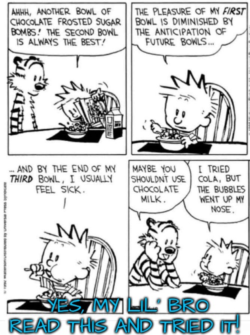 My Bro Needs to Quit Reading Calvin and Hobbes | YES, MY LIL' BRO READ THIS AND TRIED IT! | image tagged in little brother,comics | made w/ Imgflip meme maker