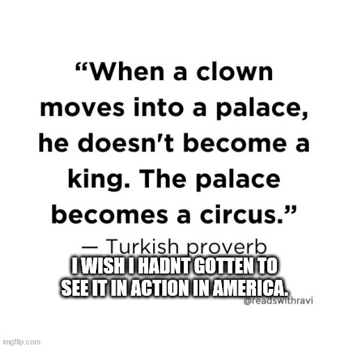 Turkish Clown Proverb | I WISH I HADNT GOTTEN TO SEE IT IN ACTION IN AMERICA. | image tagged in turkish clown proverb,clown,king,proverb,america | made w/ Imgflip meme maker