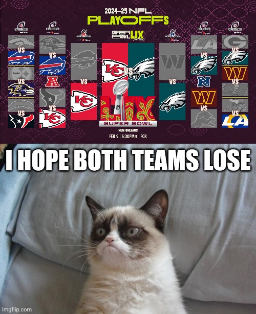 Good luck but i don't support both of them because of Taylor Swift and EDP445. (my opinion) | I HOPE BOTH TEAMS LOSE | image tagged in memes,grumpy cat bed,eagles,chiefs,super bowl | made w/ Imgflip meme maker