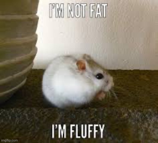 Fluffy | made w/ Imgflip meme maker