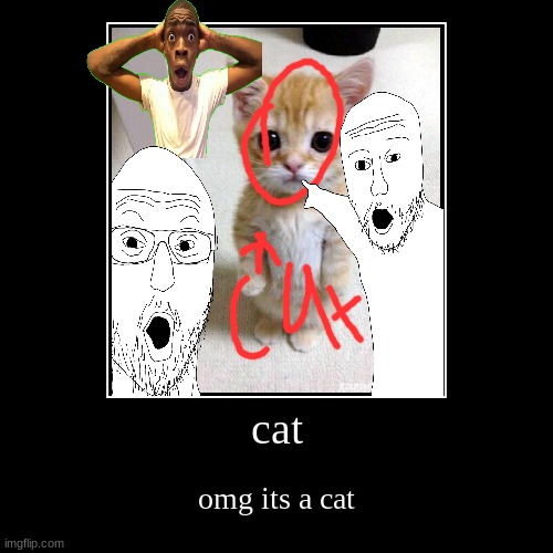 cat | omg its a cat | image tagged in funny,demotivationals | made w/ Imgflip demotivational maker