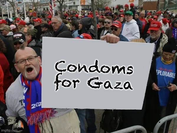 Liberals protesting Doge | Condoms for Gaza | image tagged in protesters | made w/ Imgflip meme maker