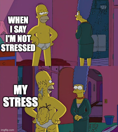 Hiding my stress | WHEN I SAY I'M NOT STRESSED; MY STRESS | image tagged in homer simpson's back fat | made w/ Imgflip meme maker