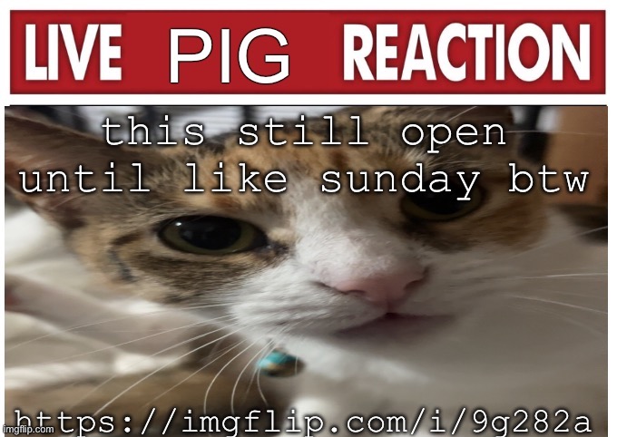 woah | this still open until like sunday btw; https://imgflip.com/i/9g282a | image tagged in woah | made w/ Imgflip meme maker