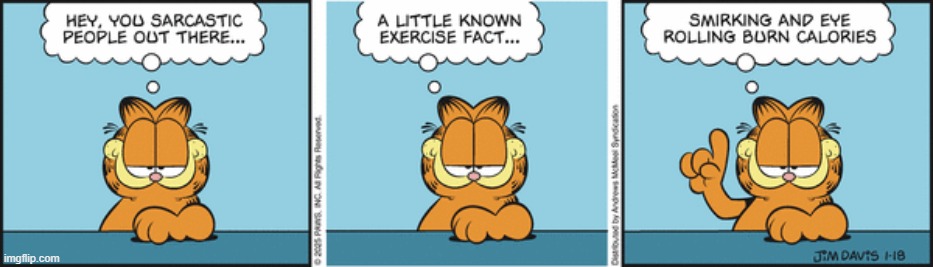 Garfield | image tagged in comics | made w/ Imgflip meme maker