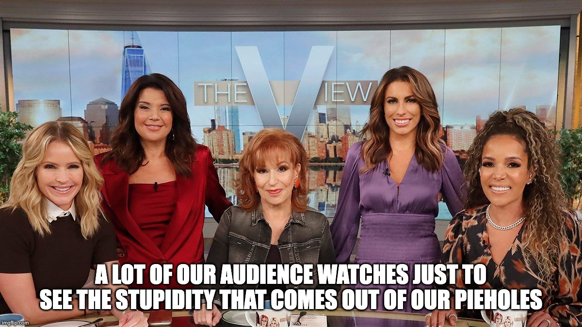 A LOT OF OUR AUDIENCE WATCHES JUST TO SEE THE STUPIDITY THAT COMES OUT OF OUR PIEHOLES | image tagged in the view,sunny hostin,joy behar | made w/ Imgflip meme maker