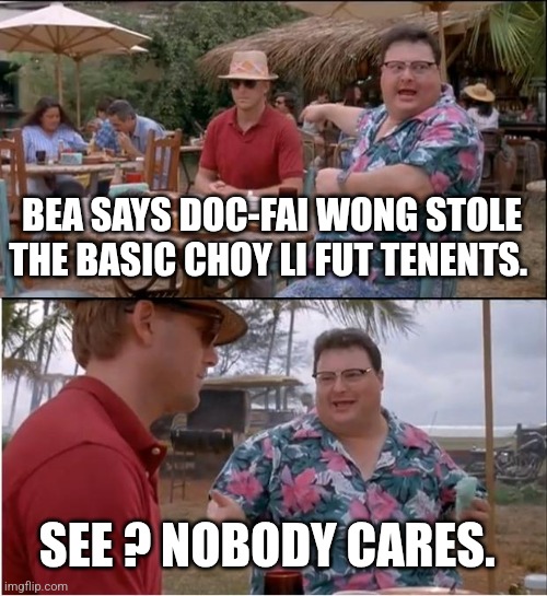See Nobody Cares Meme | BEA SAYS DOC-FAI WONG STOLE THE BASIC CHOY LI FUT TENENTS. SEE ? NOBODY CARES. | image tagged in memes,see nobody cares | made w/ Imgflip meme maker