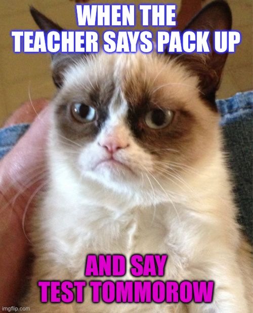 Grumpy Cat | WHEN THE TEACHER SAYS PACK UP; AND SAY TEST TOMMOROW | image tagged in memes,grumpy cat,funny,upvotes | made w/ Imgflip meme maker