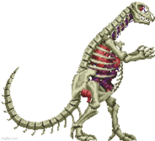 Dinosaur skeleton | image tagged in dinosaur skeleton | made w/ Imgflip meme maker