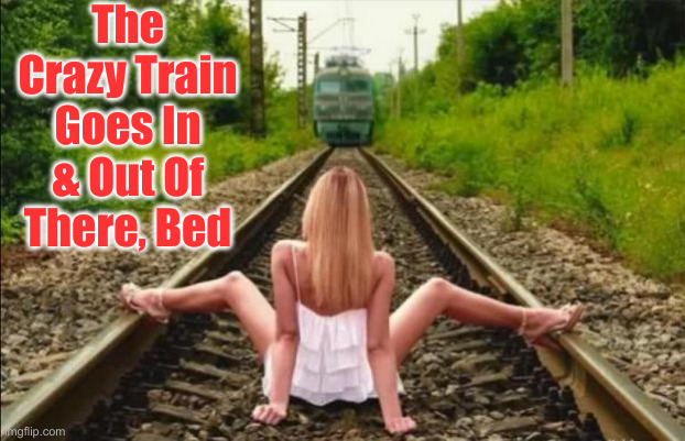 Anything can be a dildo | The Crazy Train Goes In & Out Of There, Bed | image tagged in meanwhile in canada | made w/ Imgflip meme maker