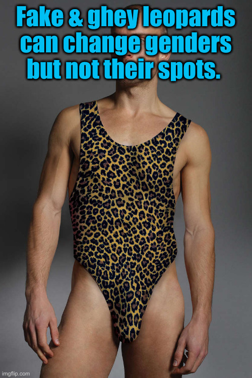 NoGi Leopard | Fake & ghey leopards can change genders but not their spots. | image tagged in nogi leopard | made w/ Imgflip meme maker