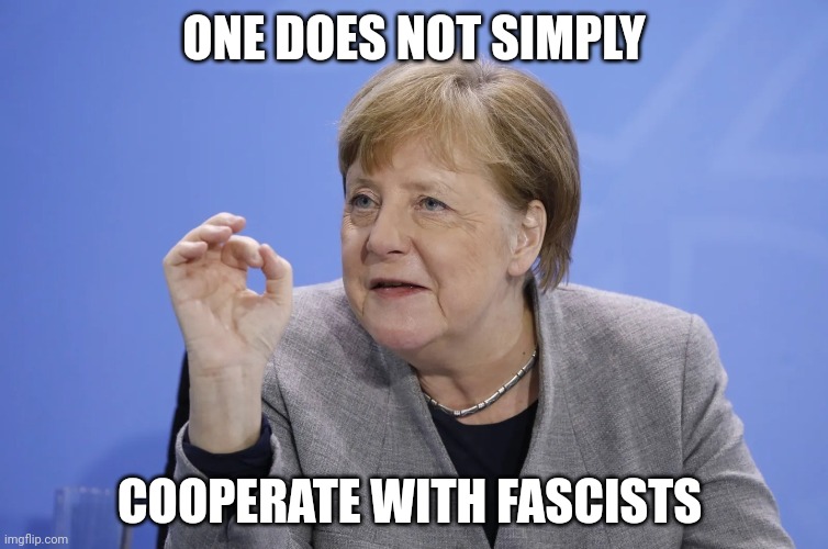 Angela Merkel | ONE DOES NOT SIMPLY; COOPERATE WITH FASCISTS | image tagged in politics,germany,merkel | made w/ Imgflip meme maker