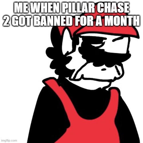 No this is real and it happened yesterday | ME WHEN PILLAR CHASE 2 GOT BANNED FOR A MONTH | image tagged in dissapointed mx | made w/ Imgflip meme maker