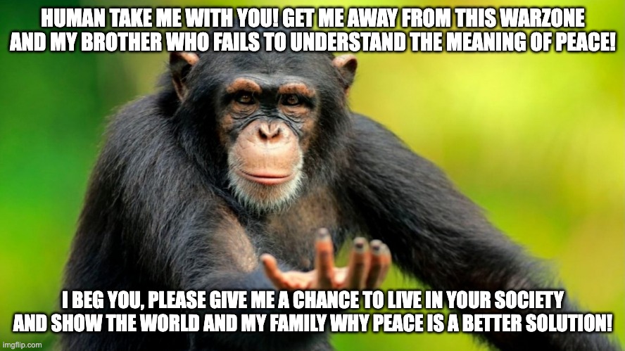 heres the end of it | HUMAN TAKE ME WITH YOU! GET ME AWAY FROM THIS WARZONE AND MY BROTHER WHO FAILS TO UNDERSTAND THE MEANING OF PEACE! I BEG YOU, PLEASE GIVE ME A CHANCE TO LIVE IN YOUR SOCIETY AND SHOW THE WORLD AND MY FAMILY WHY PEACE IS A BETTER SOLUTION! | image tagged in return to monke,memes,funny,brother may i have some oats,monke staring and smiling,angry monke | made w/ Imgflip meme maker