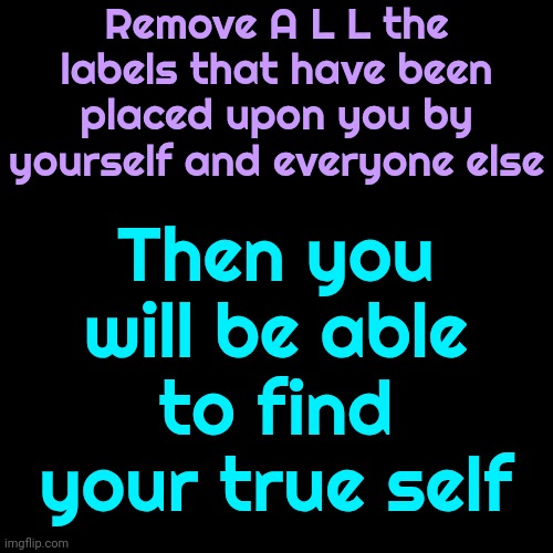 Black, White, Survivor, Victim, Christian, Muslim, Ugly, Pretty, Rich, Poor, Old, Young, Fat, Thin & Political Aren't Identities | Remove A L L the labels that have been placed upon you by yourself and everyone else; Then you will be able to find your true self | image tagged in labels,judgemental,the day i lost my identity,who are you really,i am,memes | made w/ Imgflip meme maker