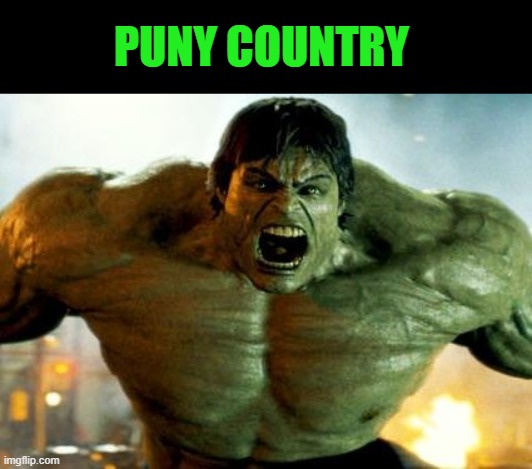 hulk | PUNY COUNTRY | image tagged in hulk | made w/ Imgflip meme maker