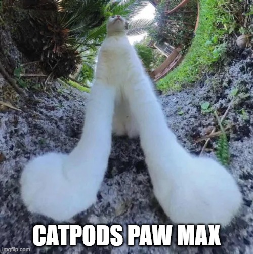 Cursed Airpods | CATPODS PAW MAX | image tagged in funny memes | made w/ Imgflip meme maker