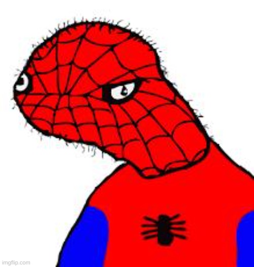 Spooderman | image tagged in spooderman | made w/ Imgflip meme maker