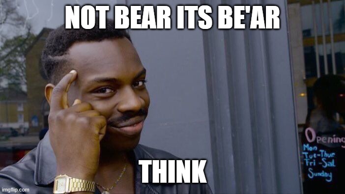 Roll Safe Think About It | NOT BEAR ITS BE'AR; THINK | image tagged in memes,roll safe think about it | made w/ Imgflip meme maker