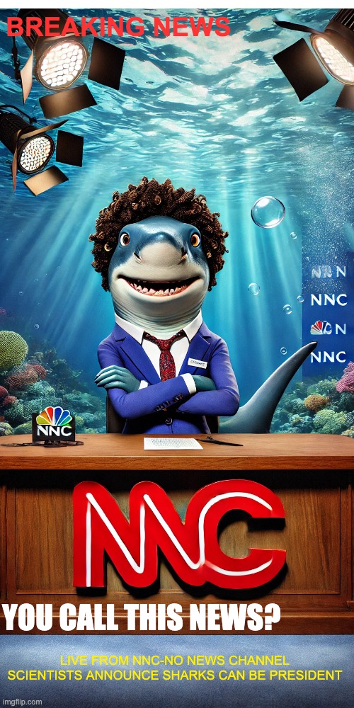 BREAKING: Scientists confirm sharks can anchor news?!” ?? | BREAKING NEWS; YOU CALL THIS NEWS? LIVE FROM NNC-NO NEWS CHANNEL
SCIENTISTS ANNOUNCE SHARKS CAN BE PRESIDENT | image tagged in memes,funny memes,fake news,breaking news,nnc,newsparody | made w/ Imgflip meme maker