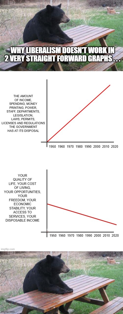 WHY LIBERALISM DOESN'T WORK IN 2 VERY STRAIGHT FORWARD GRAPHS . . . | image tagged in memes,bad luck bear | made w/ Imgflip meme maker