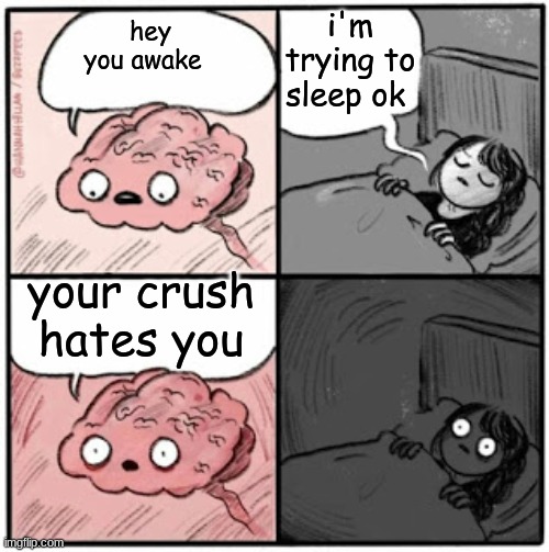 Brain Before Sleep | i'm trying to sleep ok; hey you awake; your crush hates you | image tagged in brain before sleep | made w/ Imgflip meme maker